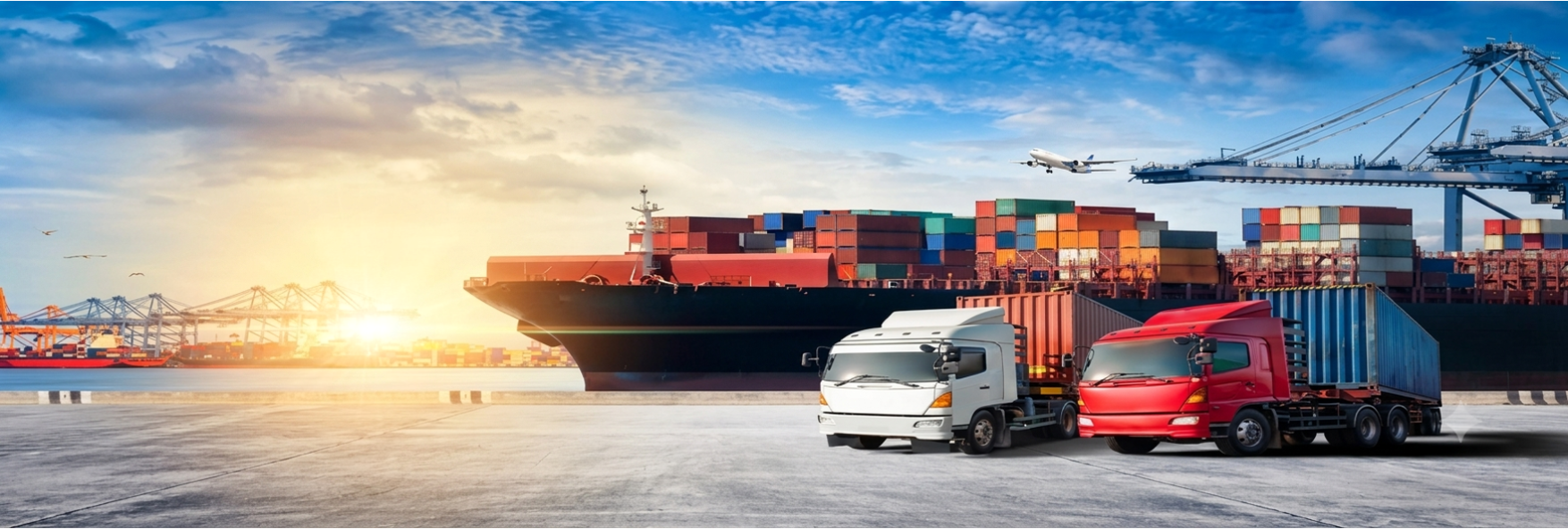 Logistics & Transportation service